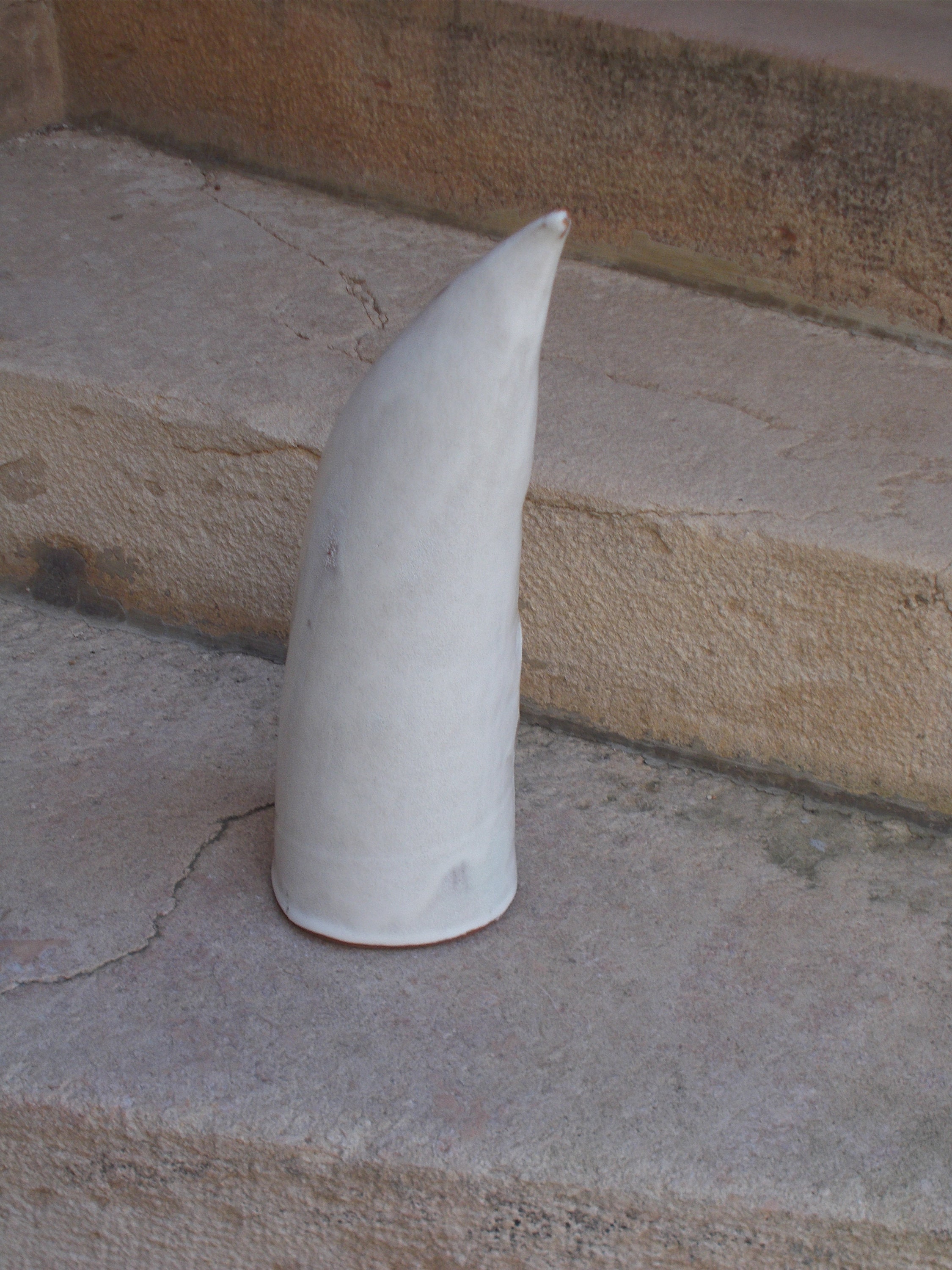 Corne de Rhinoféroce