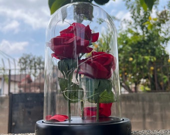 Black rose on glass dome with led lights, Valentine’s Day gift, teacher appreciation, Wednesday, graduation rose, black roses, love infinity