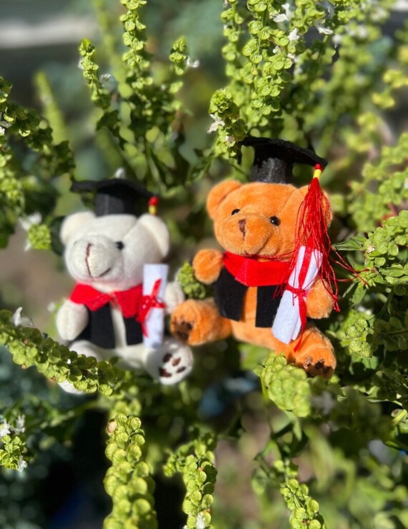 Graduation Flower Lei With Graduation Bear Class 2023 Etsy