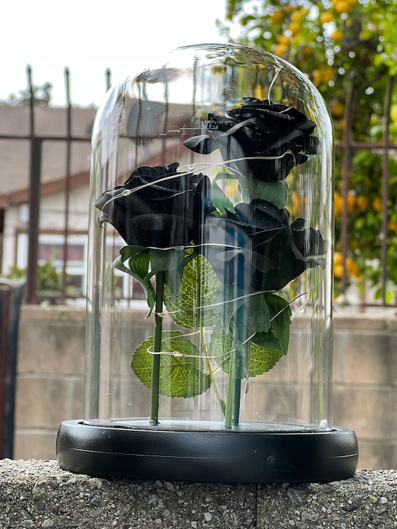 Black Rose on Glass Dome With Led Lights Valentines Day Gift