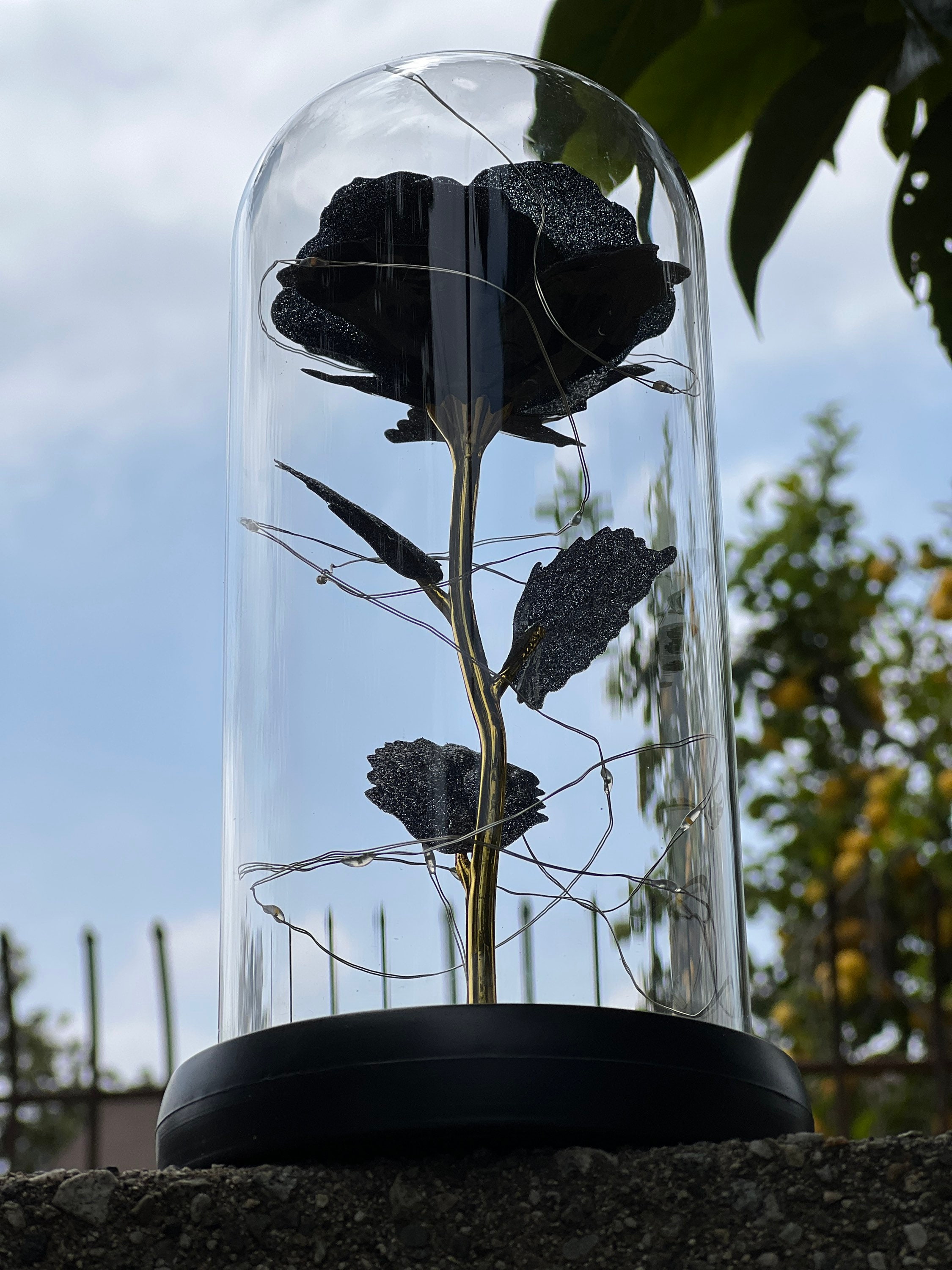 Rosa nera per sempre in cupola di vetro, regalo romantico incantato per lei, vera rosa per sempre, regalo di compleanno unico per la fidanzata, regalo perfetto per lei - Italia