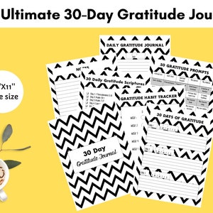 Daily Gratitude Journal, Printable Gratitude Pages, 30 Day Challenge, Gratitude Diary, 30 Day Gratitude Journal, Christian Journal for Women