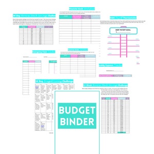 Budget Planner, Finance Planner, Budget Binder, Money Planning, Budgeting Planner, Budget Planner Printable, Printable Financial Journal
