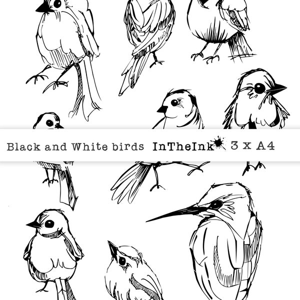 Cute Black & White Birds. Printable Collage Sheet, Digital Collage Sheet, Digital Download