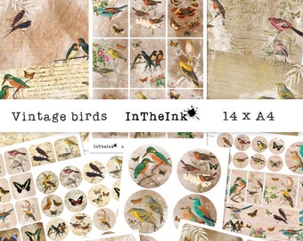 Vintage Birds, Printable Ephemera Kit, Junk Journal, Ephemera, Stationary. Scrapbooking pages, Digital Collage Sheet.