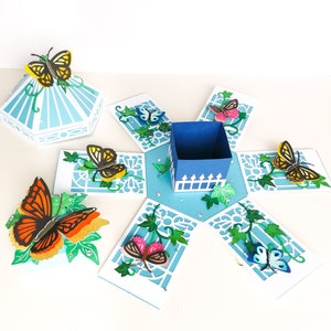 Butterfly Exploding Box SVG