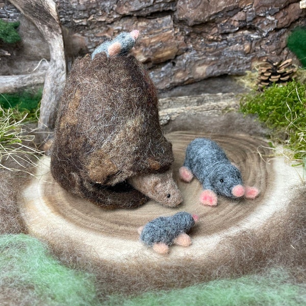Maulwurf Mama und Kinder Maus Maulwurfhügel Filztiere Waldorf Jahreszeitentisch Naturtisch Wichtelwald gefilzt Frühling Filz Garten Garten