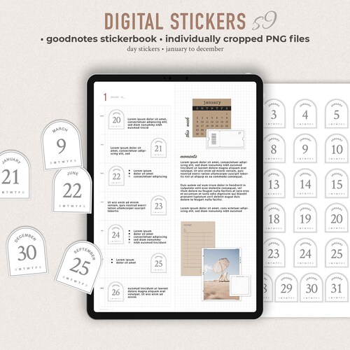 NEUTRAL Dot Number Digital Stickers Goodnotes Edition Etsy