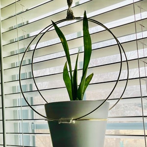 Metal and Macrame Hoop Plant Hanger