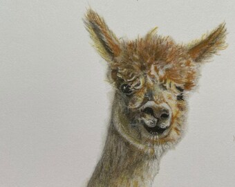 Handmade Alpaca Card: Mixed Media Art, Blank Note Card