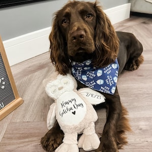Personalised dog gotcha day plush toy with dog's name and gotcha day date, new pet adoption gift.