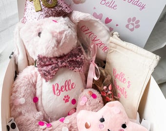 Personalised Dog Birthday Gift Hamper: Bunny Toy, Treat Cone & Pink Accessories, Custom Dog Present
