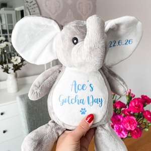 Plush personalised dog toy for gotcha day gift, being held to show the size, soft dog toy, custom gotcha day toy for dog elephant toy.