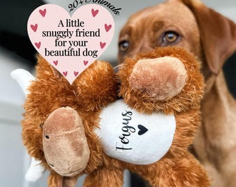 Personalised Dog Toy: Custom Puppy Gift, Soft Plush Pet Toy