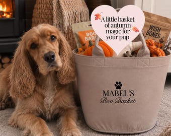 Personalised Dog Boo Basket: Halloween Gift for Dogs