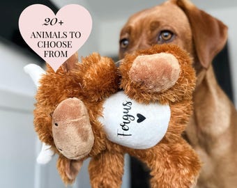 Personalised Dog Toy: Custom Puppy Gift, Soft Plush Pet Toy