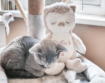 Personalised Cat Toy: Custom Pet Plush Owl, New Kitten Gift, Soft Cat Keepsake