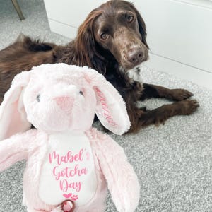 Personalised pink bunny dog toy, custom dog toy placed next to a dog in a cosy home setting with the dog's name personalised and the words 'gotcha day' underneath to celebrate their gotcha day. An ideal gift for a new dog.