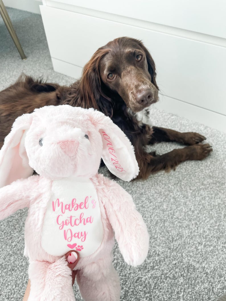 Personalised pink bunny dog toy, custom dog toy placed next to a dog in a cosy home setting with the dog's name personalised and the words 'gotcha day' underneath to celebrate their gotcha day. An ideal gift for a new dog.
