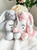 Personalised Pet Toy, Dog Birthday Gift, Pet Birthday, Dog Toys, Soft Dog Toy, New Pet Gift, Dog Gift, Custom Dog Toy, Personalised Toy