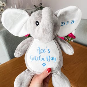 Plush personalised dog toy for gotcha day gift, being held to show the size, soft dog toy, custom gotcha day gift for a new puppy.
