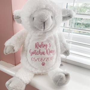 Plush personalised dog toy for gotcha day gift, styled in a home setting, new puppy toy.