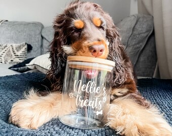 Personalised Pet Treats Jar, Dog Treats Jar, Treats Jar, Treat Storage Jar, Glass Jar with Bamboo Lid, Dog Gifts, New Puppy Gift