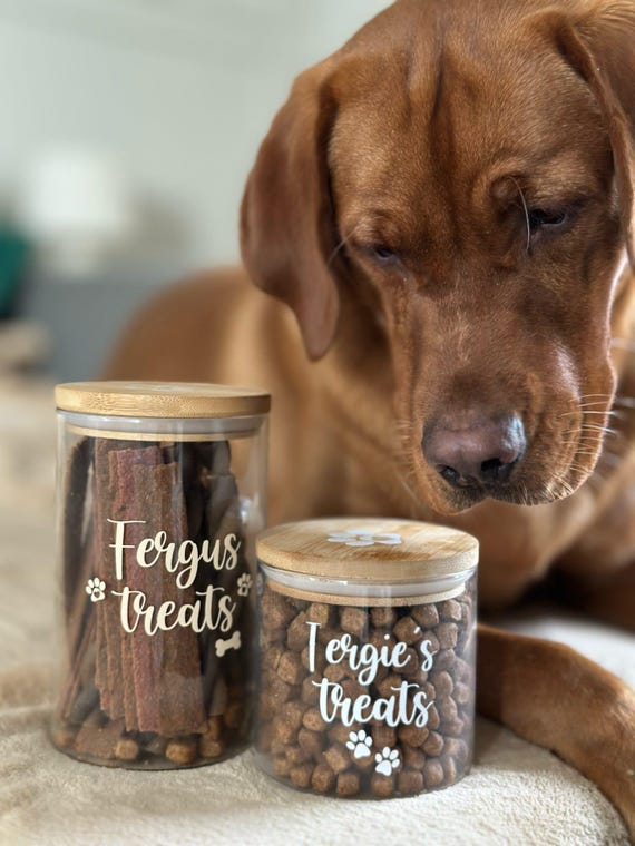 Personalised Pet Treats Jar, Dog Treats Jar, Treats Jar, Treat