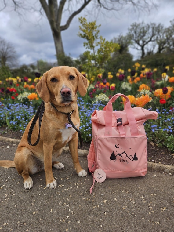 Pink Dog Themed Backpack Personalised Dog Backpack: Recycled