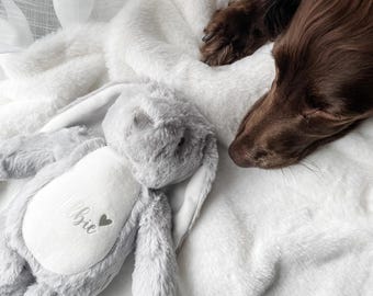 Personalised Dog Bunny Toy: Custom Puppy Birthday Gift