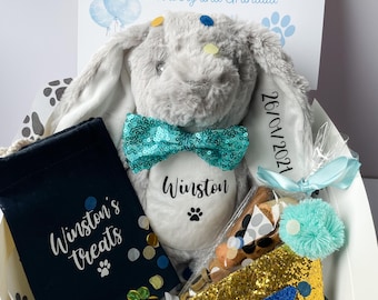 Personalised Dog Birthday Gift Hamper: Bunny Toy, Treat Cone & Blue Accessories, Custom Dog Present