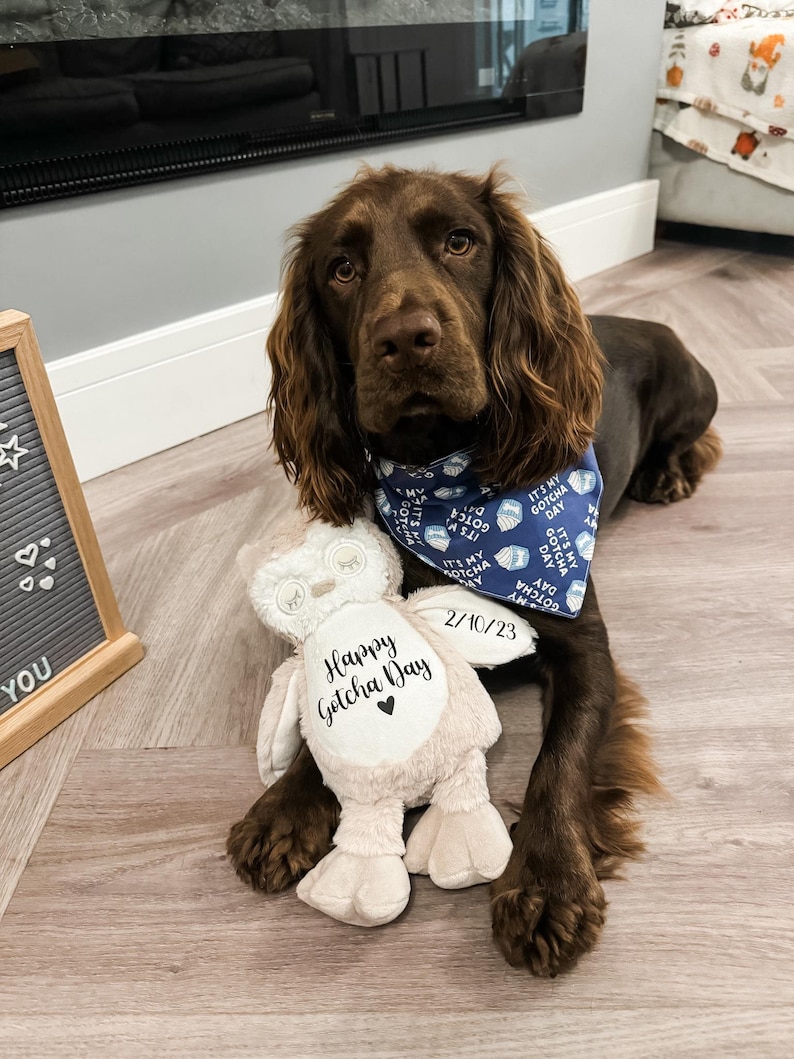 Personalised dog gotcha day plush toy with dog's name and gotcha day date, new pet adoption gift.