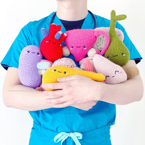 11 Crochet Organs Patterns! EBOOK PDF Amigurumi Heart Liver Kidney Brain Lungs Pancreas Intestines Gall Bladder Uterus Stomach Guts Organ