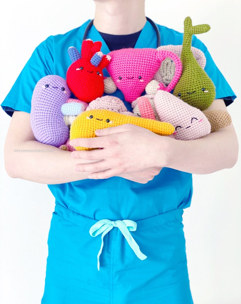 11 Crochet Organs Patterns EBOOK PDF Amigurumi Heart Liver Kidney Brain Lungs Pancreas Intestines Gall Bladder Uterus Stomach Guts Organ image 1