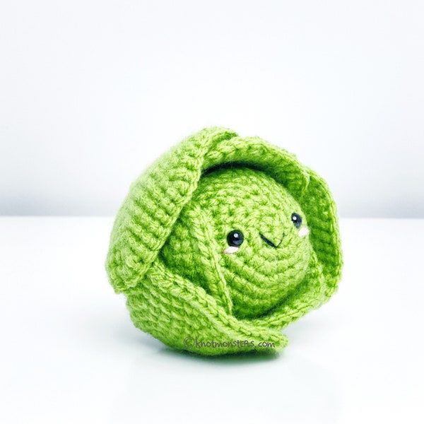 Modèle de crochet de chou de laitue! PATTERN ONLY PDF download Amigurumi Beginner Easy Simple Basic How to Tutorial Kawaii Cute Vegetable Veggie