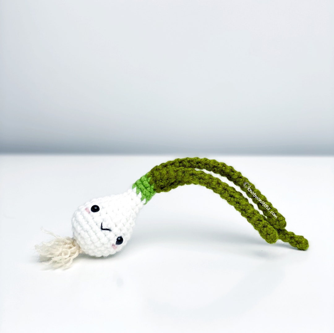 Pickle Cucumber Crochet Pattern! PATTERN ONLY PDF download Amigurumi  Beginner Easy Simple Basic How to Tutorial Kawaii Cute Vegetable Veggie