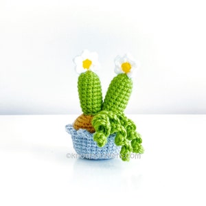 12 Crochet Mini Cactus Garden Patterns EBOOK PDF KnotMonsters Amigurumi Crochet Patterns Beginner Easy Simple Basic Plant Cacti Project Lot image 8