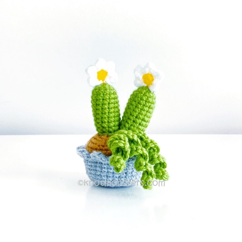 12 Crochet Mini Cactus Garden Patterns EBOOK PDF KnotMonsters Amigurumi Crochet Patterns Beginner Easy Simple Basic Plant Cacti Project Lot image 8