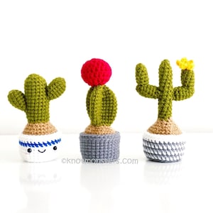 12 Crochet Mini Cactus Garden Patterns EBOOK PDF KnotMonsters Amigurumi Crochet Patterns Beginner Easy Simple Basic Plant Cacti Project Lot image 5