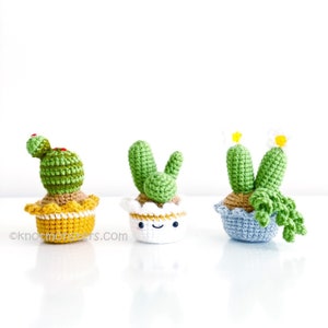 12 Crochet Mini Cactus Garden Patterns EBOOK PDF KnotMonsters Amigurumi Crochet Patterns Beginner Easy Simple Basic Plant Cacti Project Lot image 6
