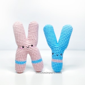 XY Chromosomes Crochet Pattern ONLY! PDF download Amigurumi Beginner Easy Simple Basic How to Tutorial Science Baby X Y Pregnancy Pregnant