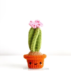 12 Crochet Mini Cactus Garden Patterns EBOOK PDF KnotMonsters Amigurumi Crochet Patterns Beginner Easy Simple Basic Plant Cacti Project Lot image 10