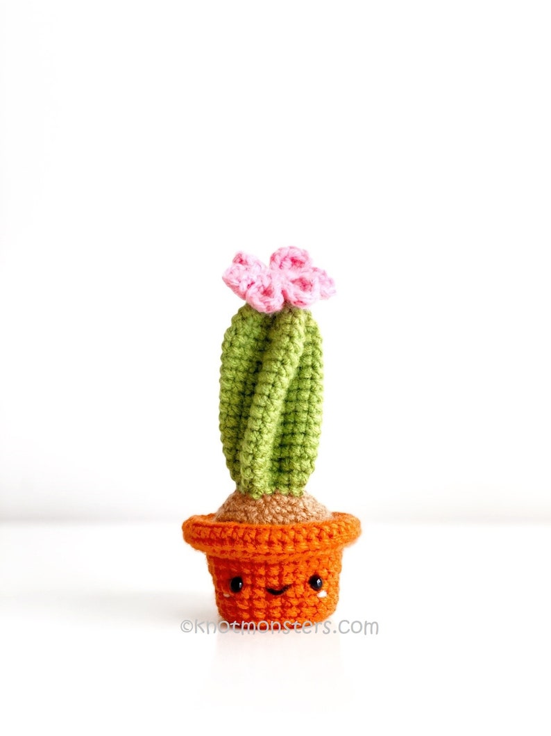 12 Crochet Mini Cactus Garden Patterns EBOOK PDF KnotMonsters Amigurumi Crochet Patterns Beginner Easy Simple Basic Plant Cacti Project Lot image 10