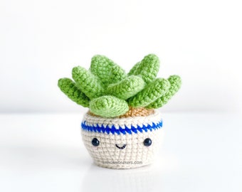 Succulent Echeveria Crochet Pattern! PATTERN ONLY Instant DOWNLOAD! Amigurumi Crochet Patterns Beginner Easy Simple Basic Tree Succulent Pot