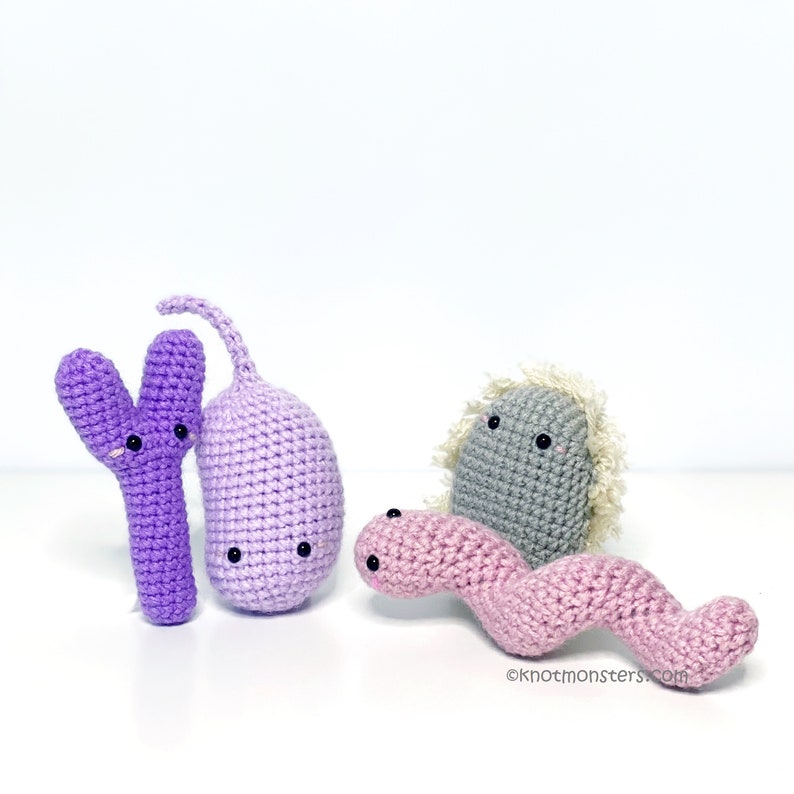 20 Biology Crochet Pattern Bundle EBOOK PDF KnotMonsters Amigurumi How to Beginner Easy Simple Basic Tutorial Bacteria Cells Science Bio image 7