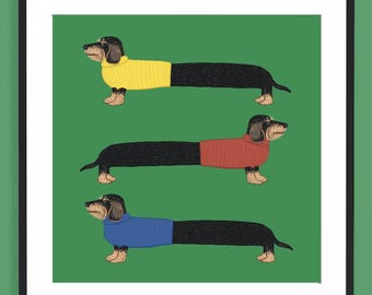 Sausage Dog Wire Haired Dachshund Long Boy In Jumpers Teckel Square Print Illustration