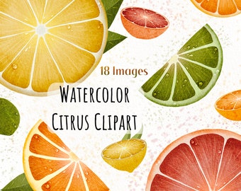 Watercolor Citrus Clipart, Lemon Fruit Illustration, Grapefruit Artwork, Orange Illustration, Lime Images, Citrus Fruits PNG, Commercial PNG