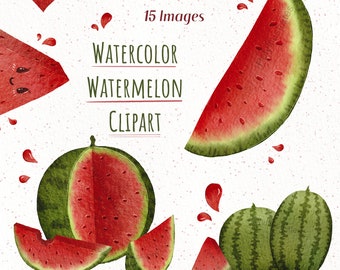 Watercolor Watermelon Clipart, Watermelon Fruit Illustration, Melon Fruit Artwork, Exotic Fruit Illustration, Summer Fruits Commercial PNG