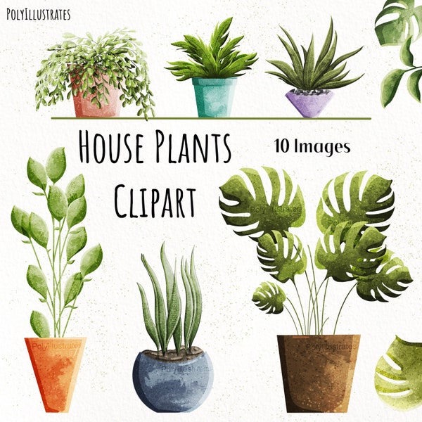 House Plants Clipart, Potted Plant Illustration, Monstera Leaf Artwork, Indoor Garden Drawing, Houseplant Lover Images, Commercial Use PNG