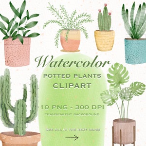 Acuarela plantas en maceta Clipart, interior casa plantas arte, ilustración de cactus, diseño de tarjeta DIY, flores deja obras de arte, imágenes personalizables